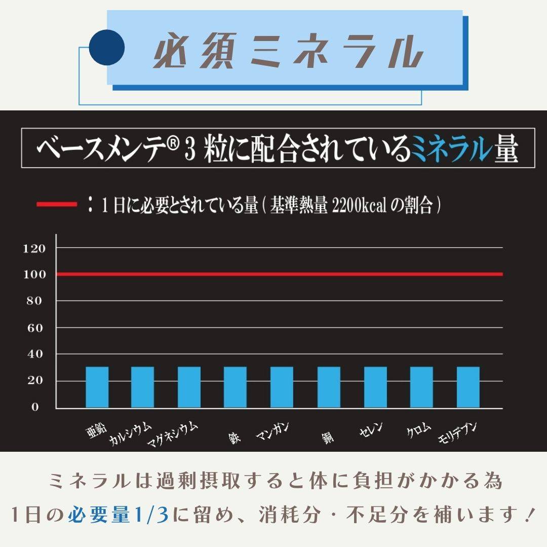 BASEMAINTE/ベースメンテ® 48種類配合トータル栄養バランスサプリメント