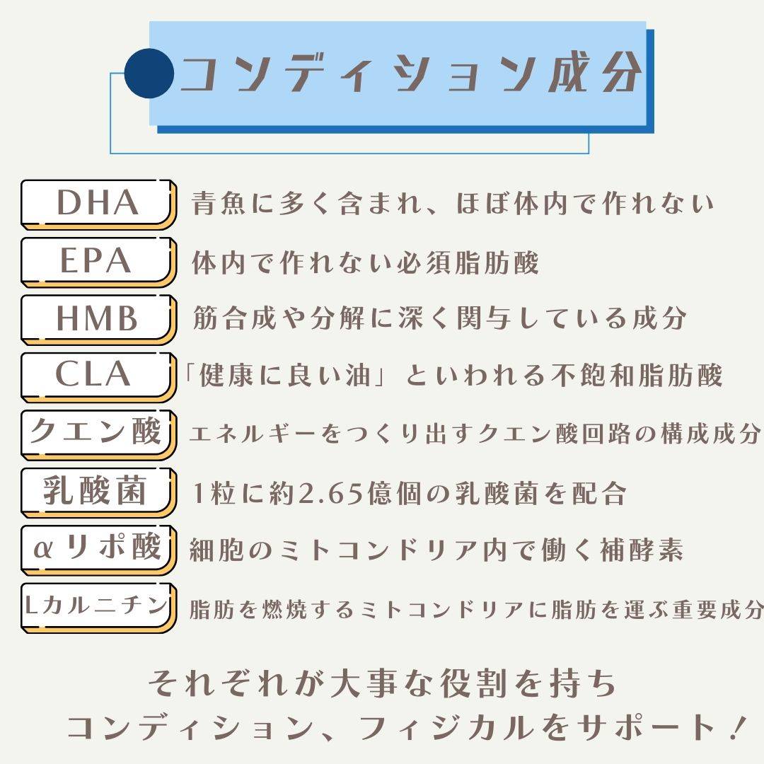 BASEMAINTE/ベースメンテ® 48種類配合トータル栄養バランスサプリメント