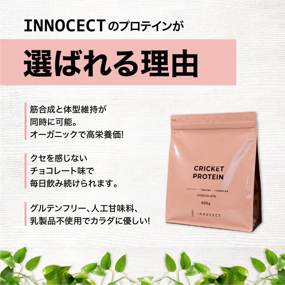 クリケットプロテイン 1袋600g チョコレート or 抹茶