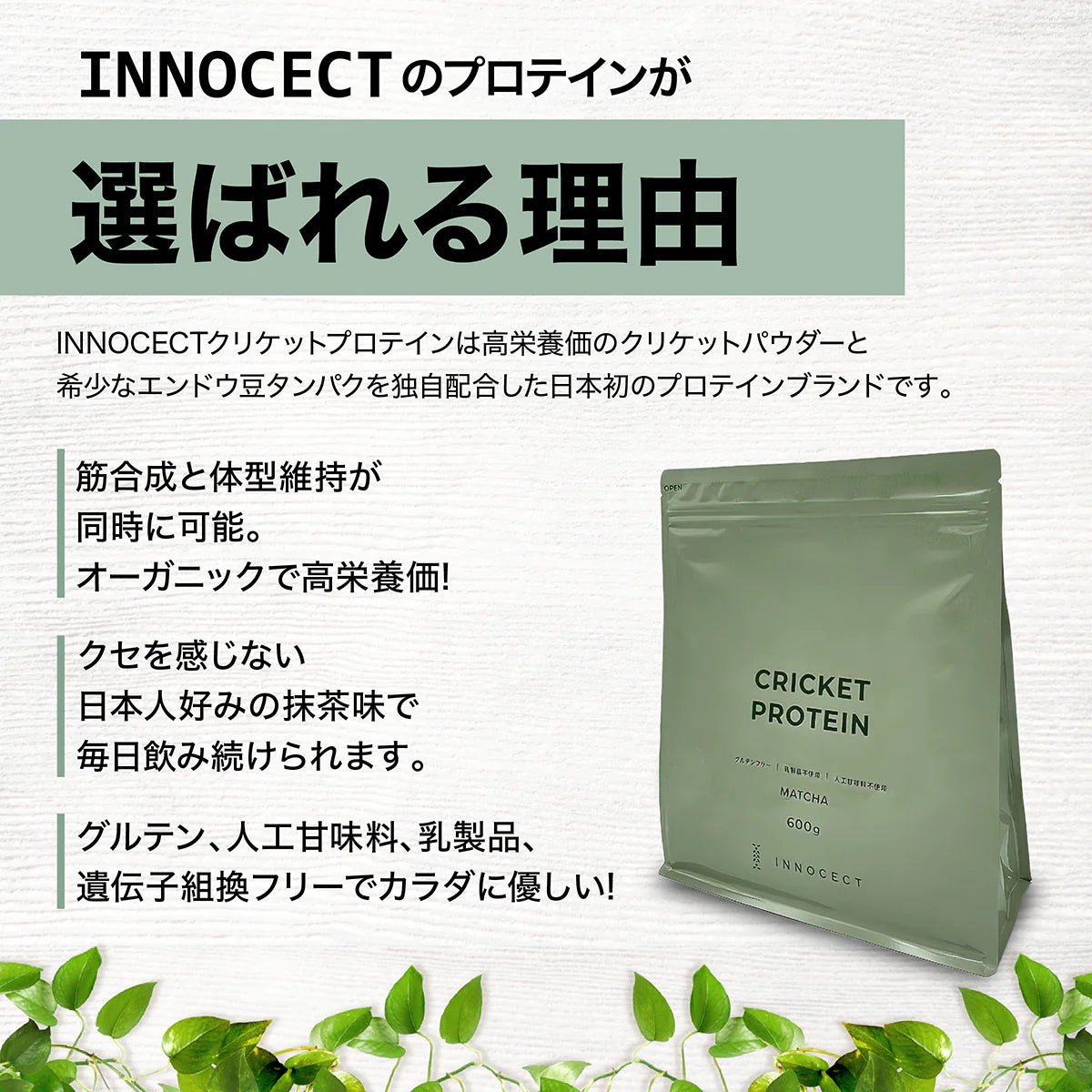 クリケットプロテイン 1袋600g チョコレート or 抹茶