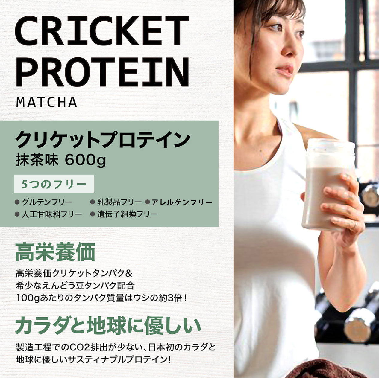クリケットプロテイン 1袋600g チョコレート or 抹茶