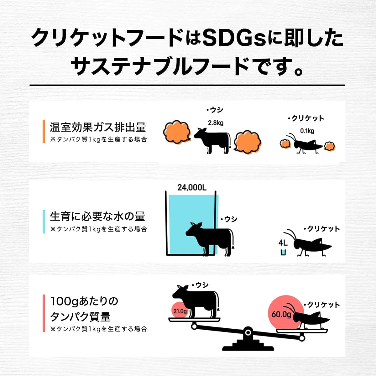 クリケットプロテイン 1袋600g チョコレート or 抹茶