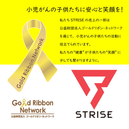 ストライズWPIプロテイン レモン味 ＆ BASEMAINTE/ベースメンテ セット